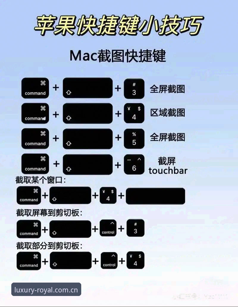 皇家国际官网入口实用指南：从入门到精通的必备知识
